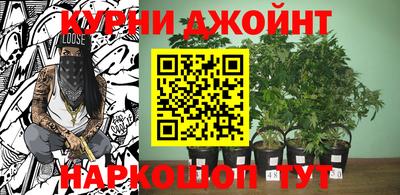 гашишное масло Бердск