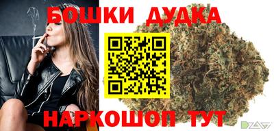прущие грибы Белореченск