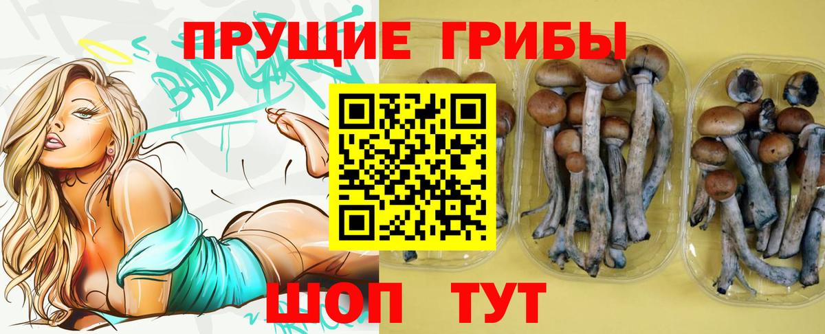 Елец  Галлюциногенные грибы Psilocybe  Вход с VPN 